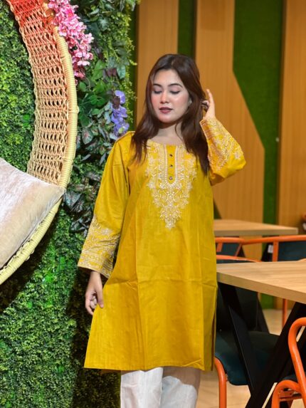 এক্সক্লুসিভ গর্জিয়াস এমব্রয়ডারি কুর্তি ২-পিস